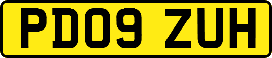 PD09ZUH