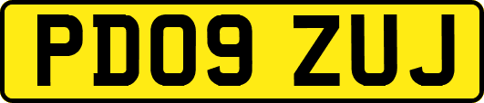 PD09ZUJ