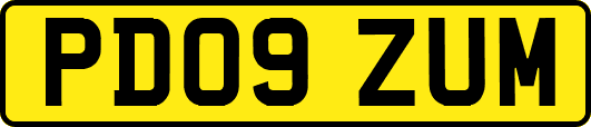 PD09ZUM