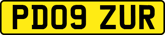 PD09ZUR