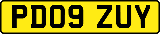 PD09ZUY