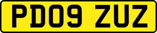 PD09ZUZ