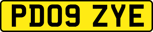 PD09ZYE