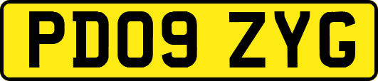 PD09ZYG