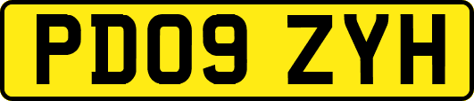 PD09ZYH