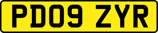 PD09ZYR