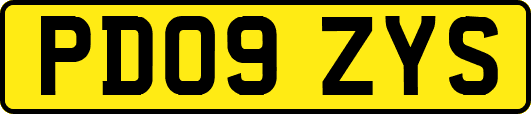 PD09ZYS