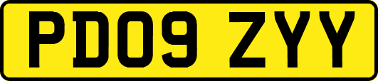 PD09ZYY