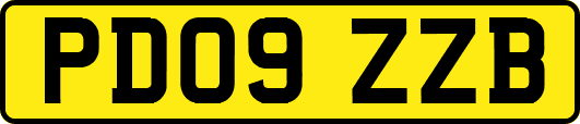 PD09ZZB