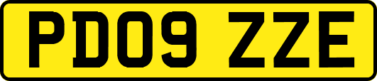 PD09ZZE