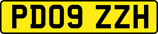 PD09ZZH