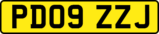 PD09ZZJ