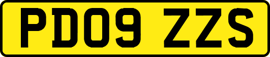 PD09ZZS