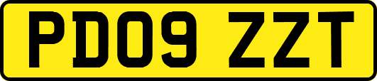 PD09ZZT