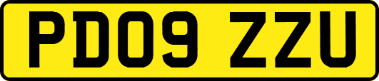 PD09ZZU