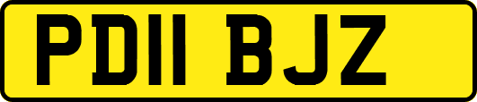PD11BJZ