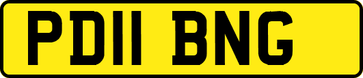 PD11BNG