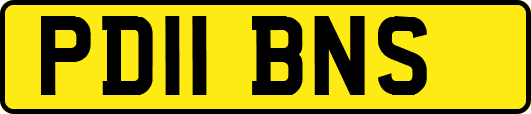 PD11BNS
