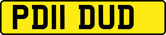 PD11DUD