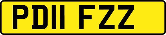 PD11FZZ