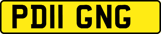PD11GNG
