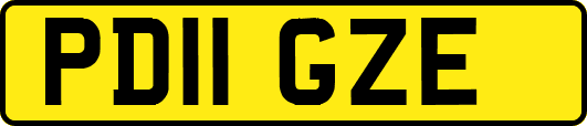 PD11GZE