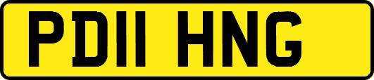 PD11HNG