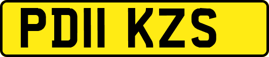 PD11KZS