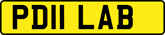 PD11LAB