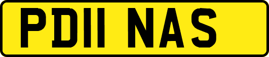 PD11NAS
