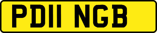 PD11NGB