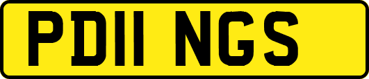PD11NGS