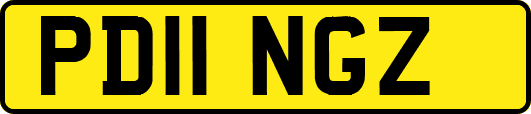 PD11NGZ