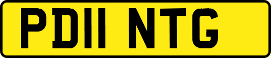 PD11NTG