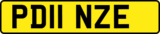 PD11NZE
