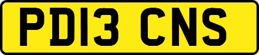 PD13CNS