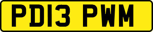 PD13PWM