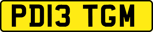 PD13TGM