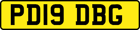 PD19DBG