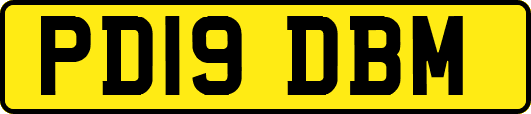 PD19DBM