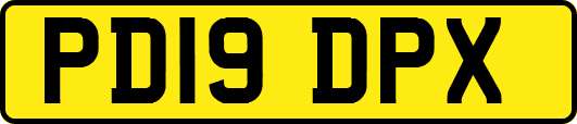 PD19DPX