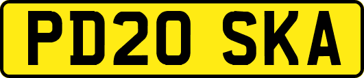 PD20SKA