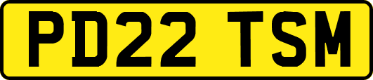 PD22TSM