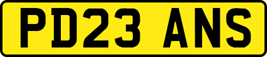 PD23ANS