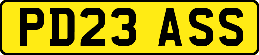 PD23ASS