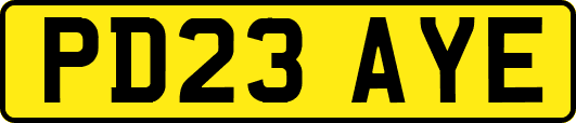 PD23AYE