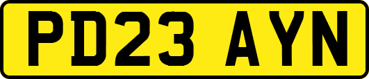 PD23AYN