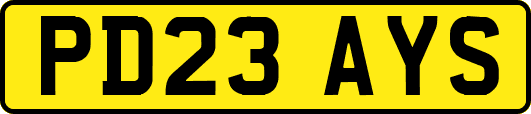 PD23AYS