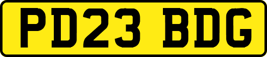 PD23BDG