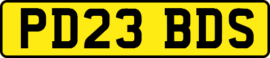 PD23BDS